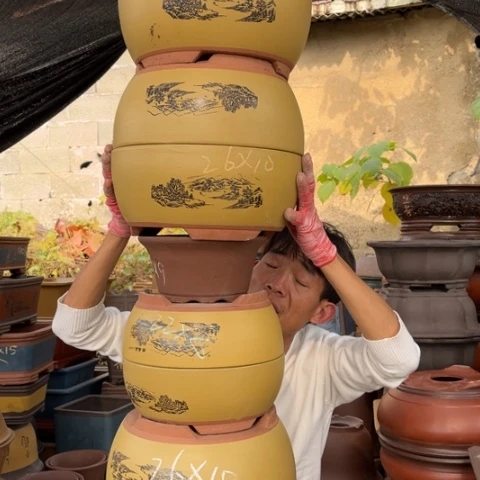 花盆紫砂特价包邮送盒子