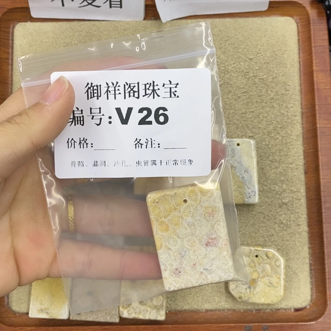 硅化珊瑚（珊瑚玉）颈饰未镶嵌H***Y