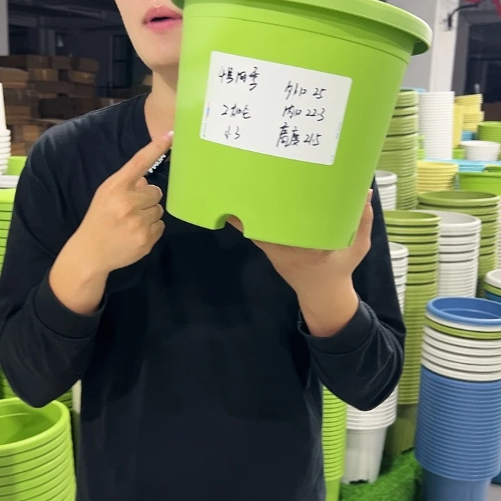 特价4号口25高24.5果绿色8只无托