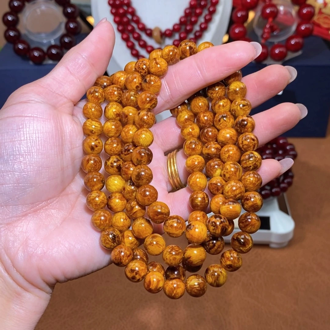 贝壳杉血龙木0.8留疤