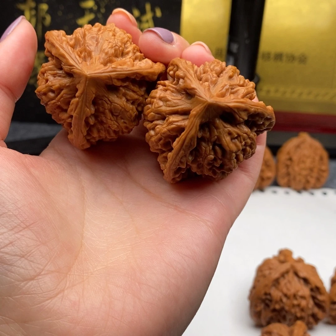 毛*山白狮子111111