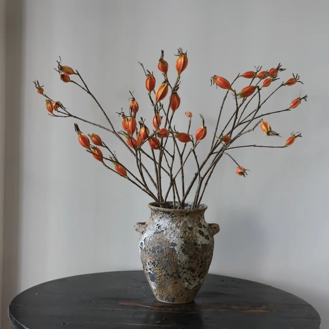 【栀子果】鲜切枝鲜花小清新装饰鲜切花室内水培植物云南基地直发