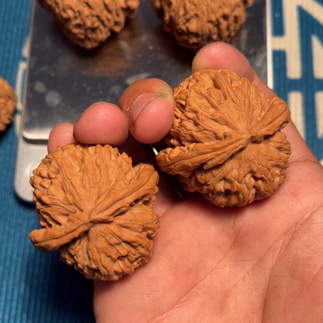 文玩核桃把件꧁***꧂核桃