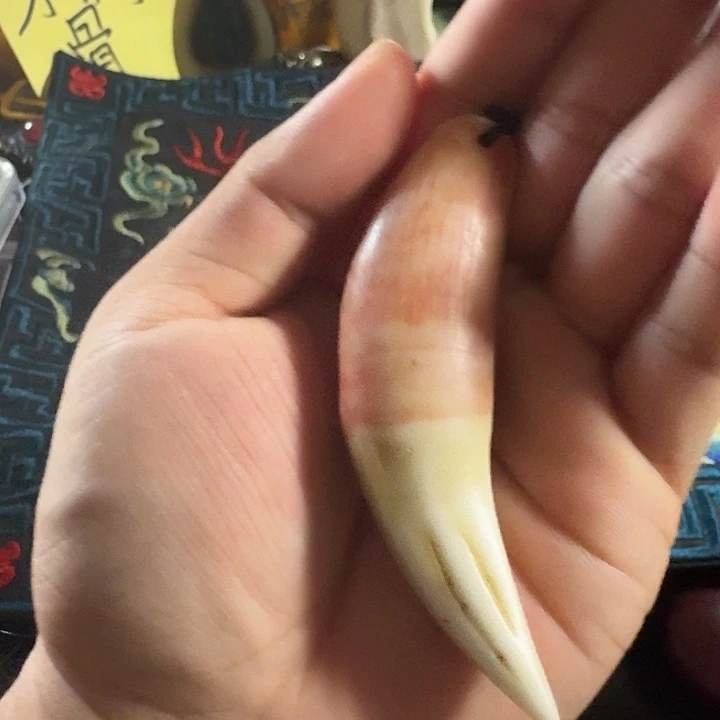 大哥专拍链接一号