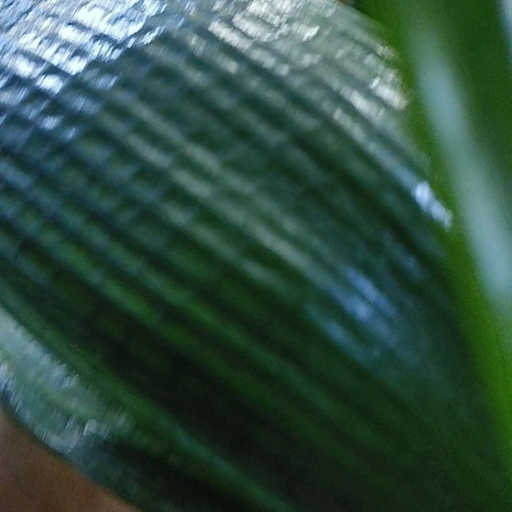 完全开放dnndndmdn