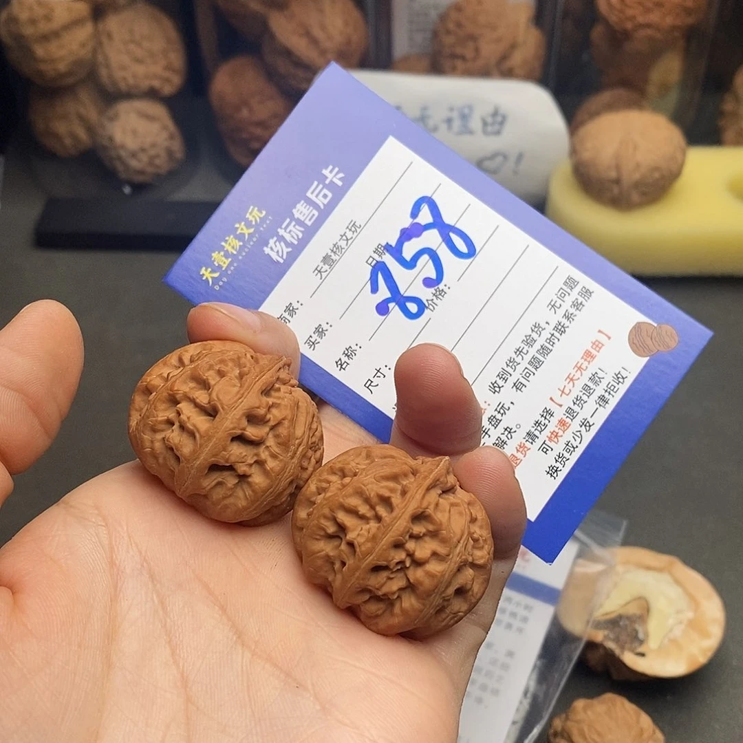 文玩核桃把件听****版霸王龙28