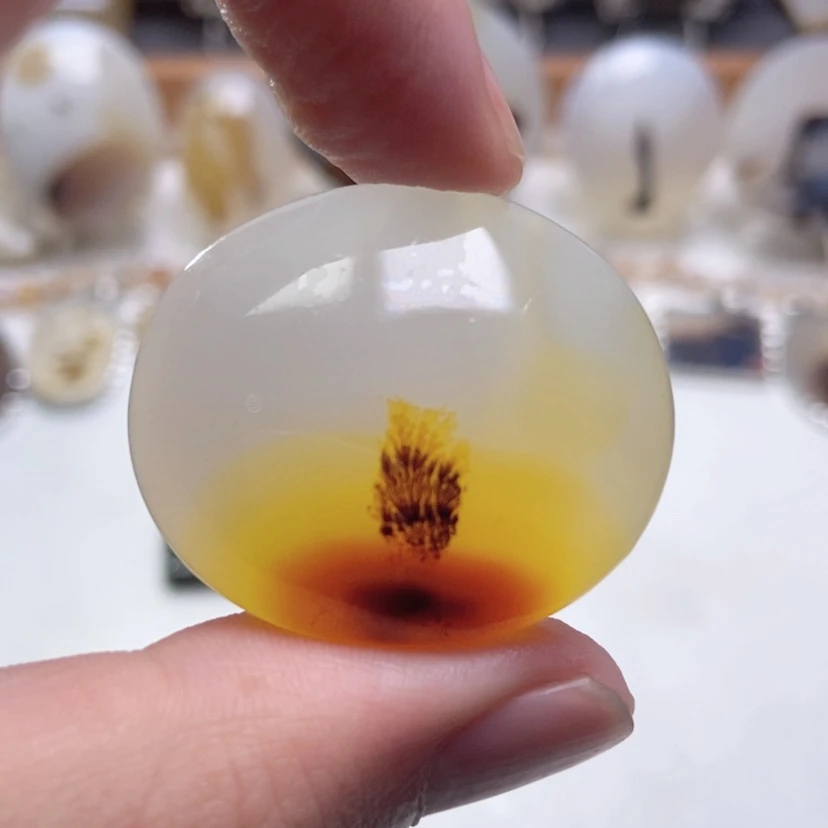 【闪购商品】玛瑙/玉髓颈饰未镶嵌