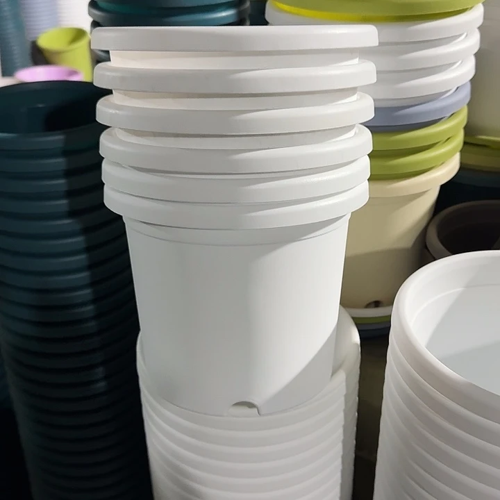 四季3#口径21白色10个无托