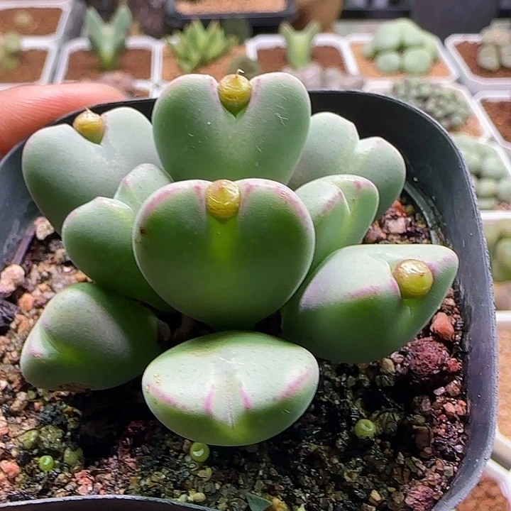 哈哈哈哈哈哈哈哈哈哈。 317