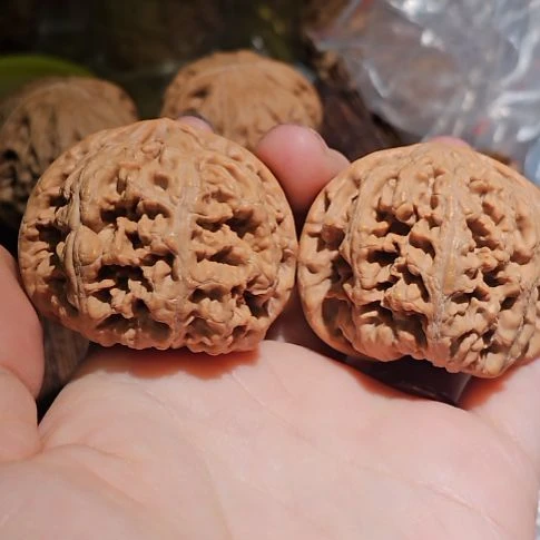 十****吊坠文玩核桃44粗筋