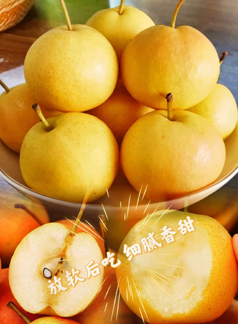 鞍山老式南果梨新鲜梨子水果南国梨软糯香甜整箱包邮