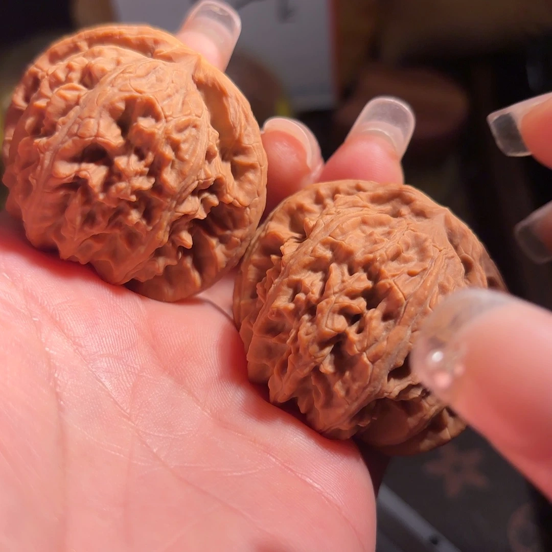 核桃白狮子老树红皮果45尺