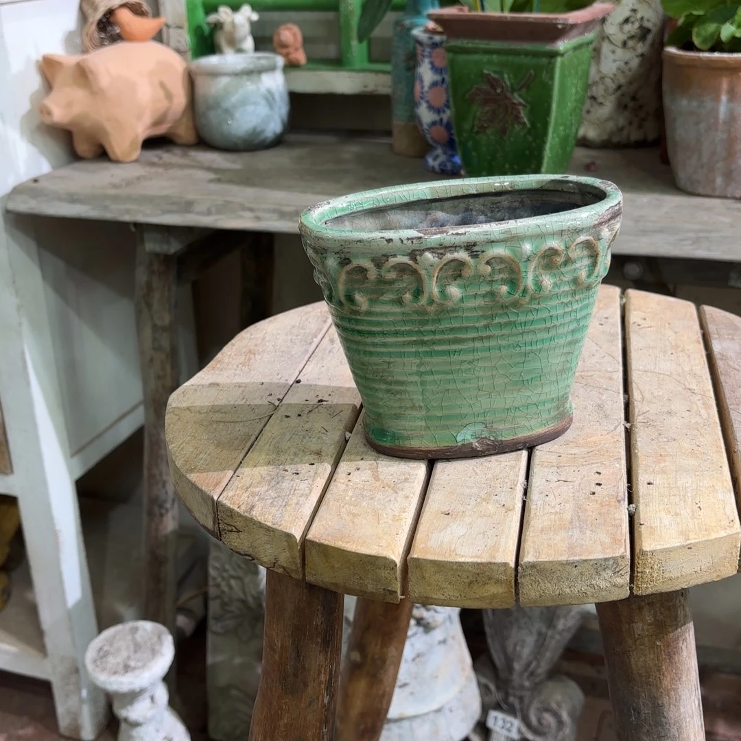 许纯的花房 福利椭圆绿色