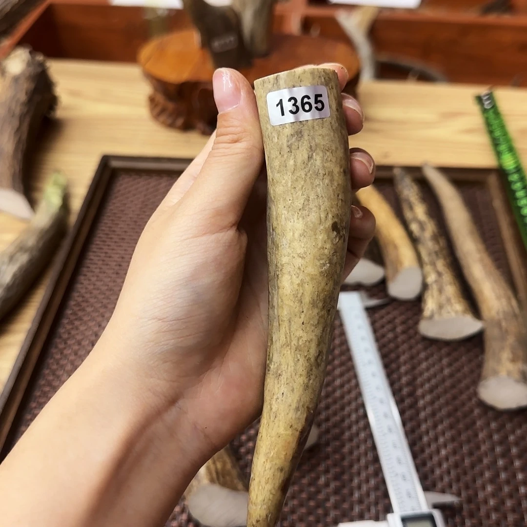 鹿骨手串/手链1365角尖