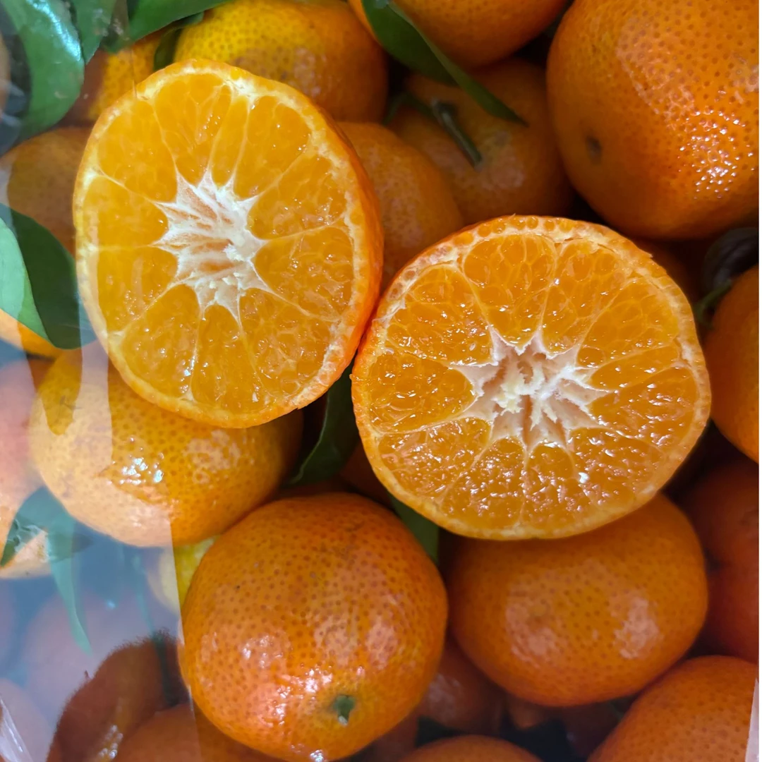 {阿郭心选}广西精选沙糖桔3斤【好东西】