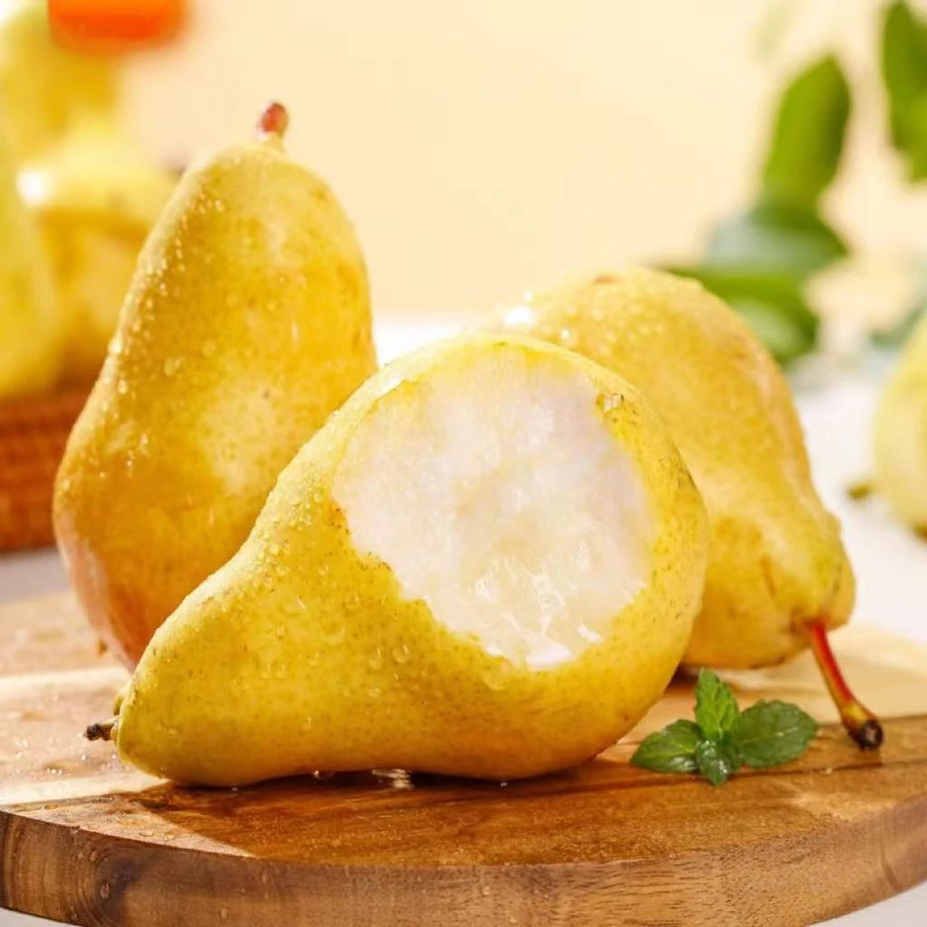 山东烟台太婆梨软糯香甜大头梨子新鲜水果香蕉青啤葫芦梨3-9斤