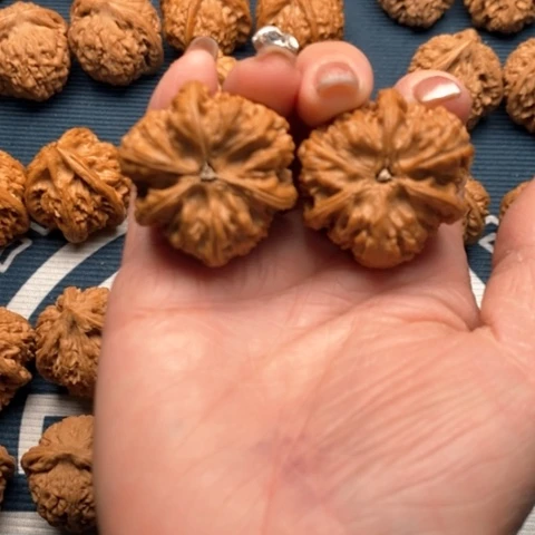 橄榄核手串/手链文山三棱36