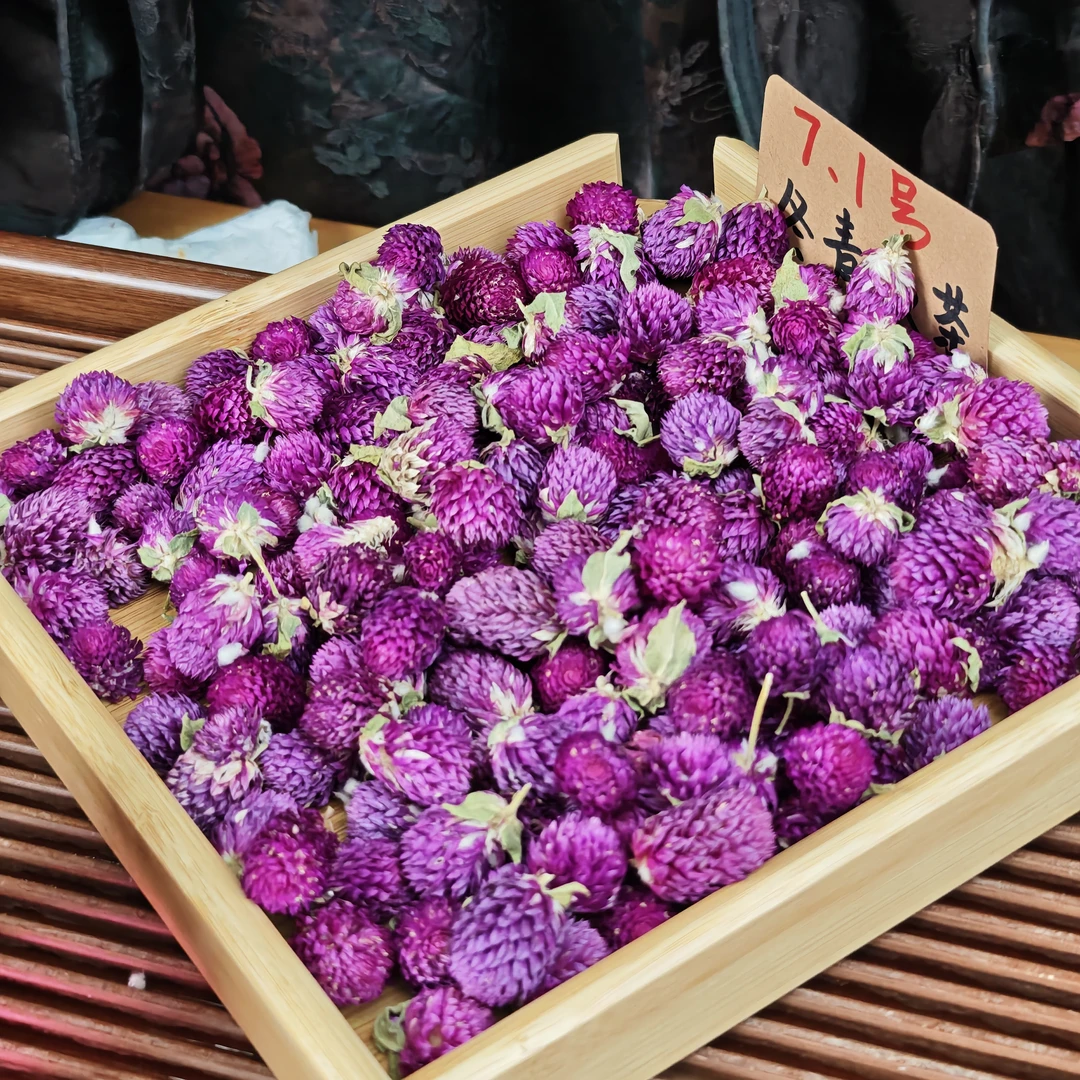 云南大理 高海拔紫巧梅  冬青收茶③