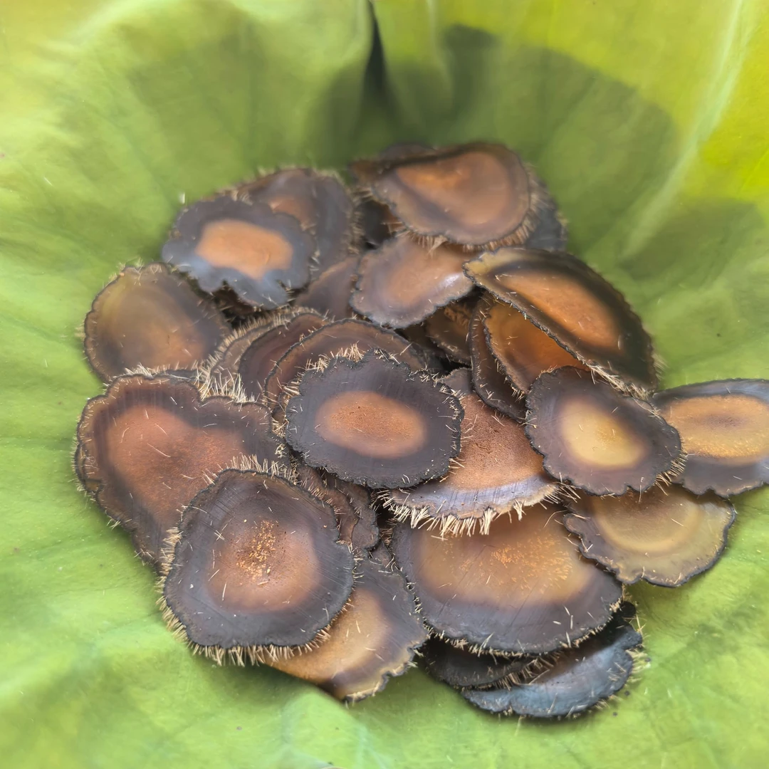 【鹿茸全蜡片】梅花鹿5g（送5g）到手10g*1罐