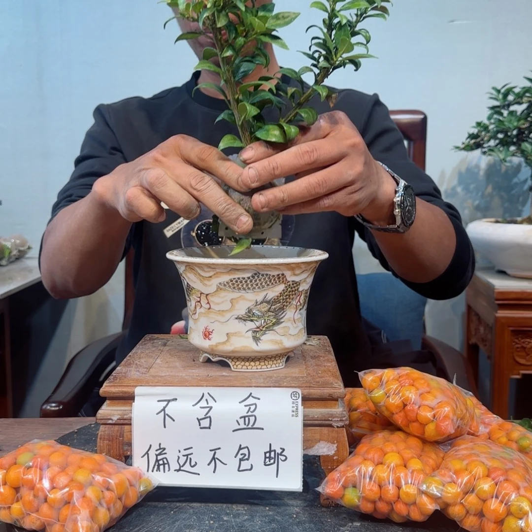 少量花朵（建议范围：2朵-5朵 或40%以下）光*