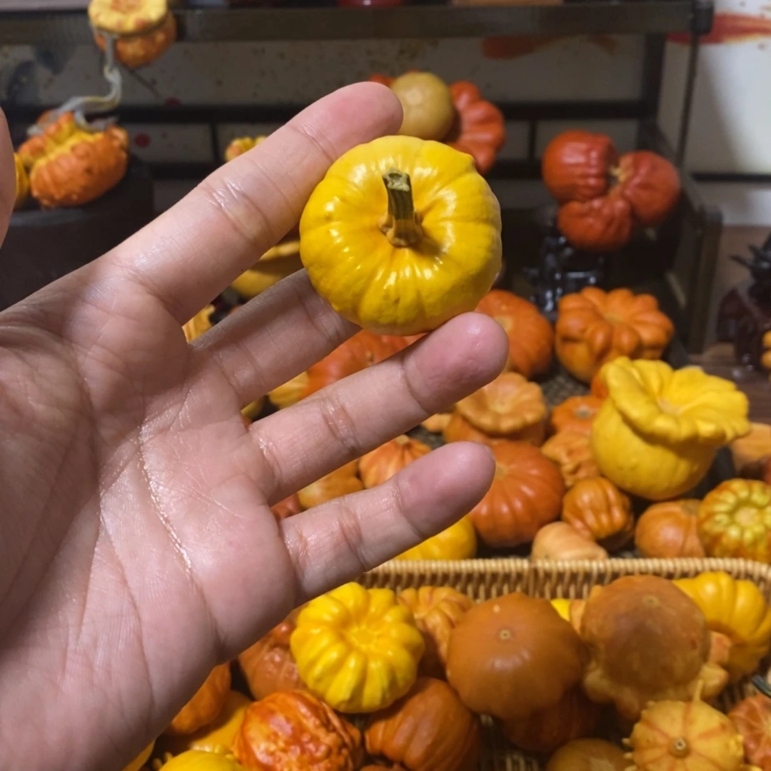 兔****666666666666666666