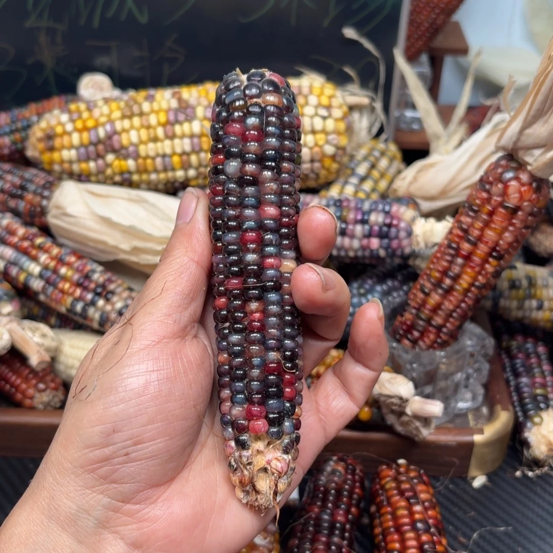 柏香籽/百香籽吊坠一****.