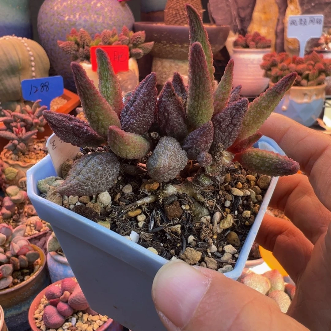 一***味我们都在努力着改变自己和