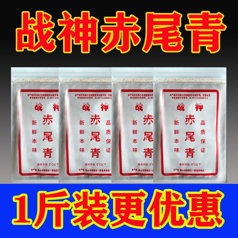 战神赤尾青战神冻料1斤装散炮粗赤尾青细赤尾青罗非鲮鱼鲫鱼黑坑