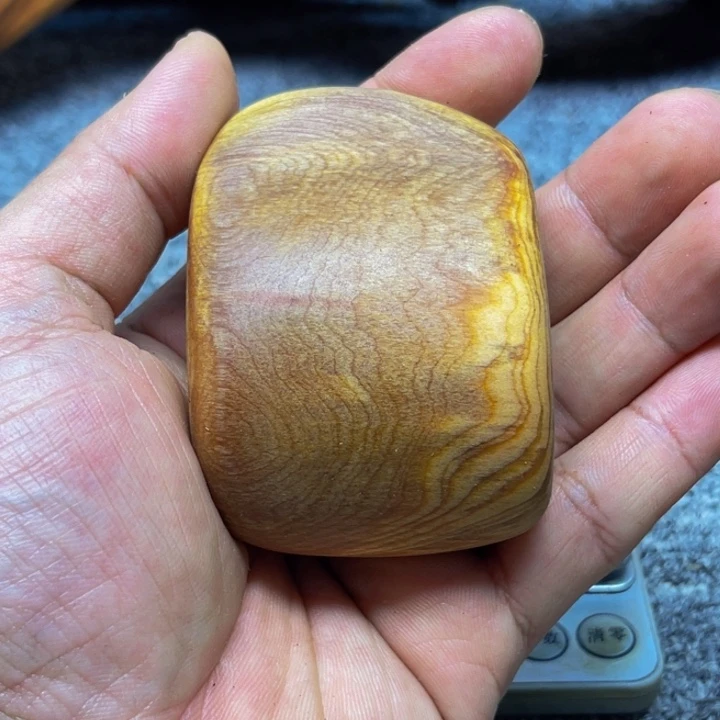 柏木（崖柏）崖柏90