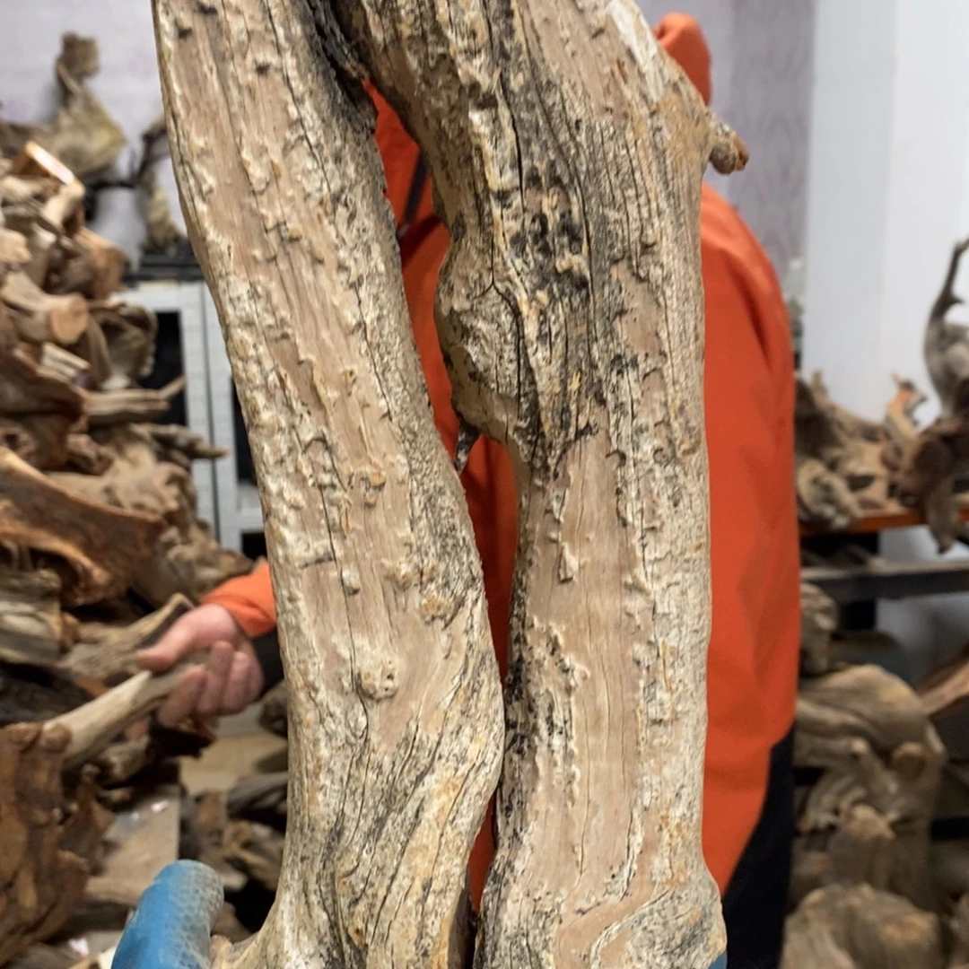 柏木墨***室我们都是好孩子