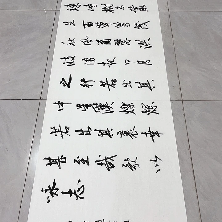 书法西**仔尤老师书法作品观沧海