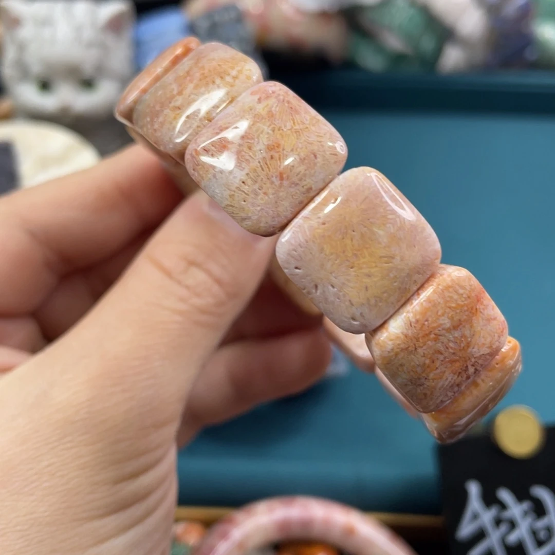 未镶嵌手镯硅化玉