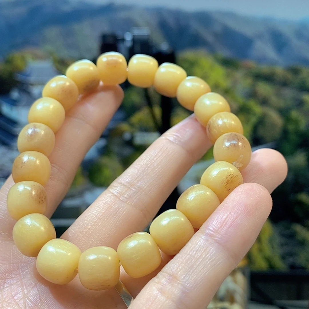 摆件牛骨主播推荐
