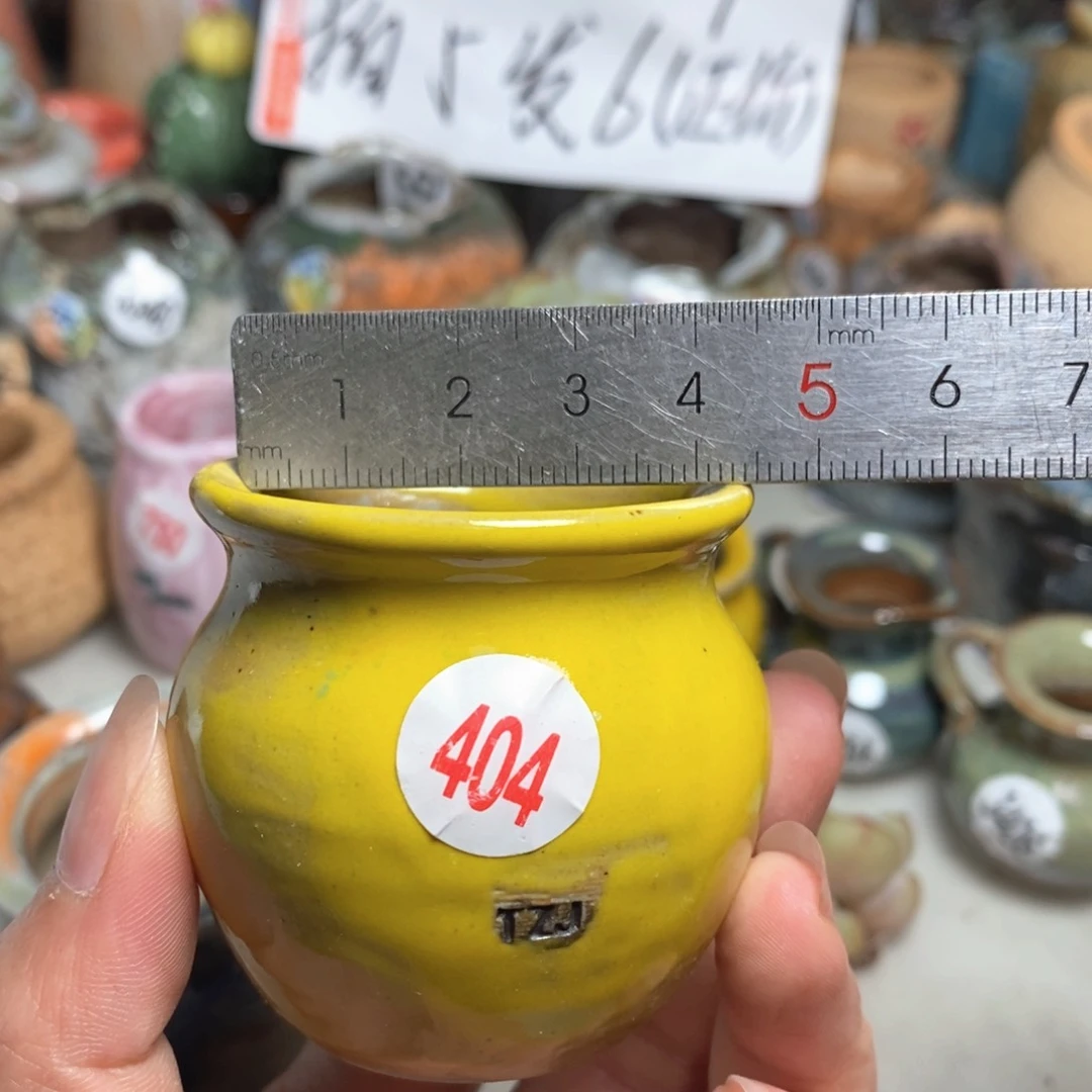 拍5送一个小礼物
