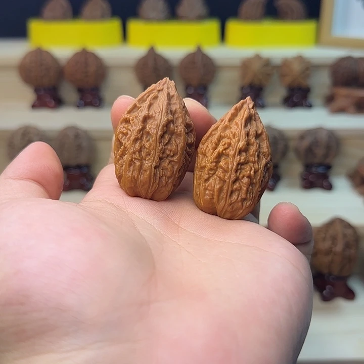 东北楸核老树蚂蚁塔