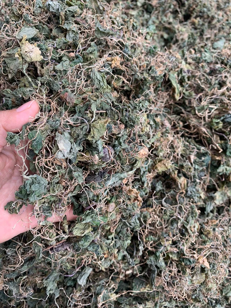 青天葵100克500克自晒50克