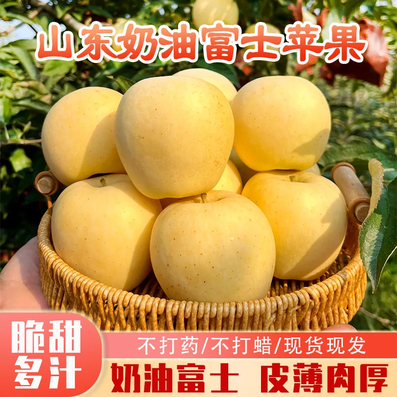 沃野农乡 | 山东富士苹果奶油苹果脆甜多汁新鲜水果4.5斤