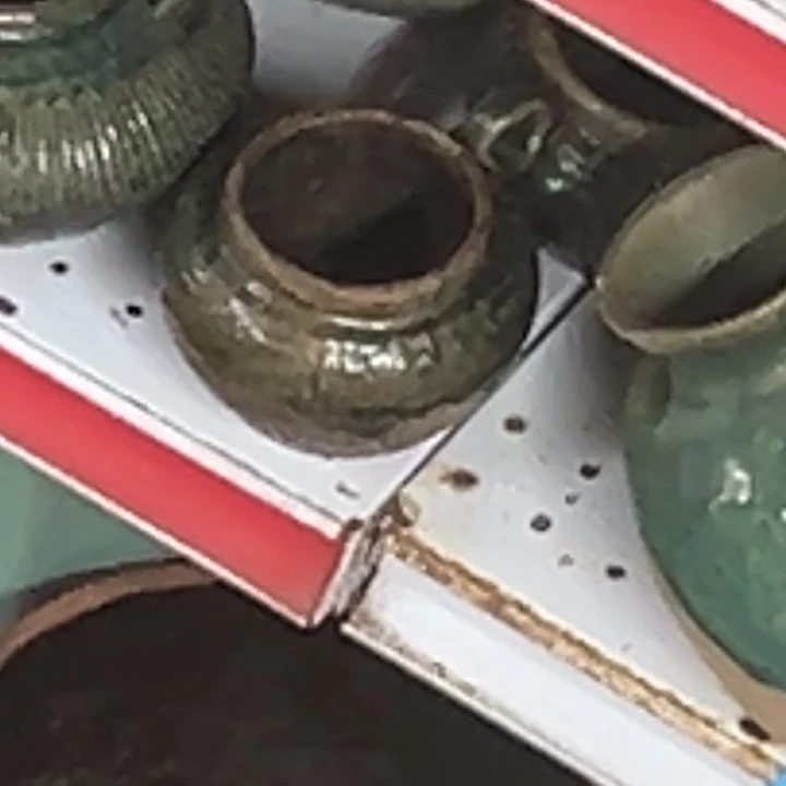 我的小可爱们都好可爱