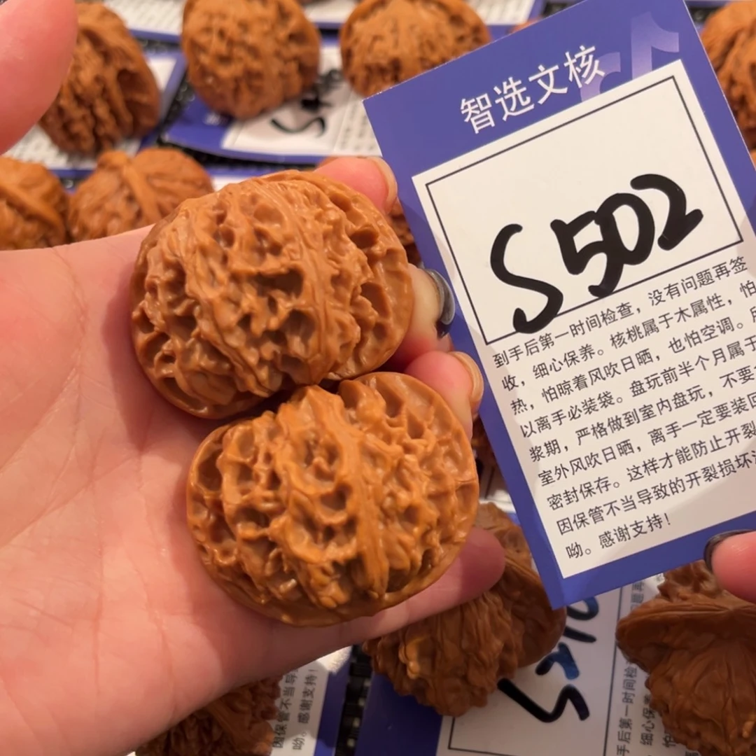 核桃S502号苹果园44尺