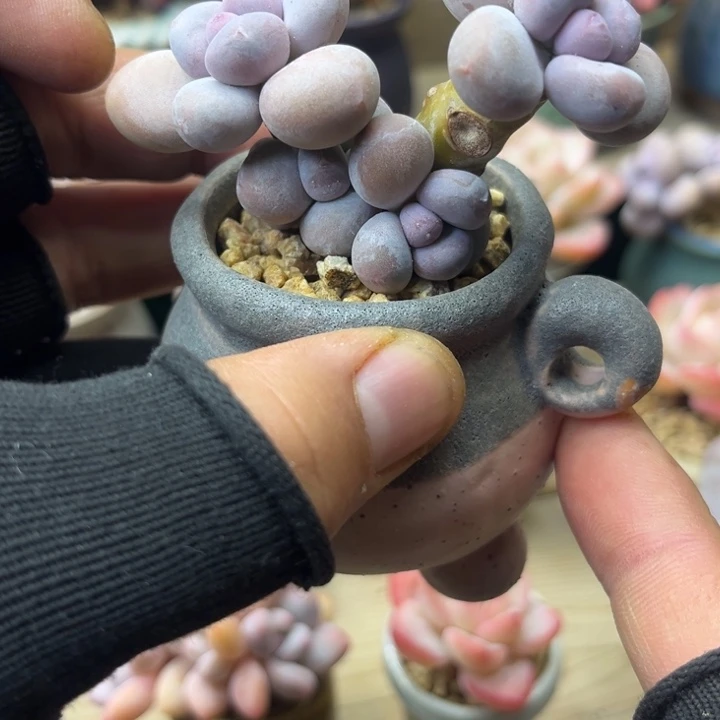 ton k lo en lo e luo o