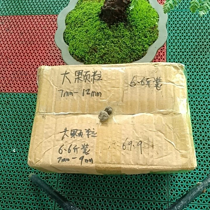 生***就兰菌颗粒   大颗粒6.6斤