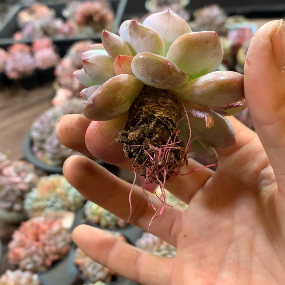 哈哈哈哈哈哈哈哈哈哈