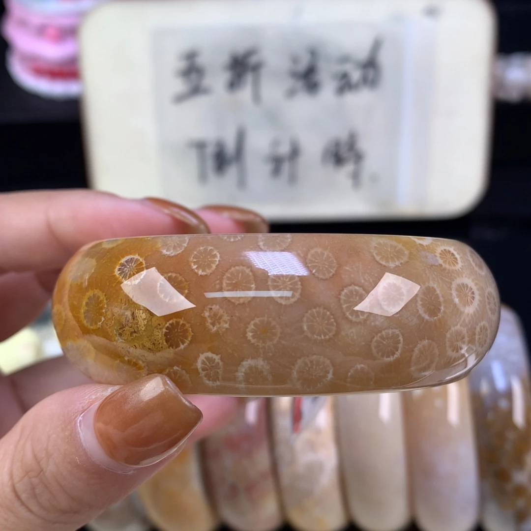 硅化珊瑚（珊瑚玉）未镶嵌颈饰精美手镯五折54.6口（71号）