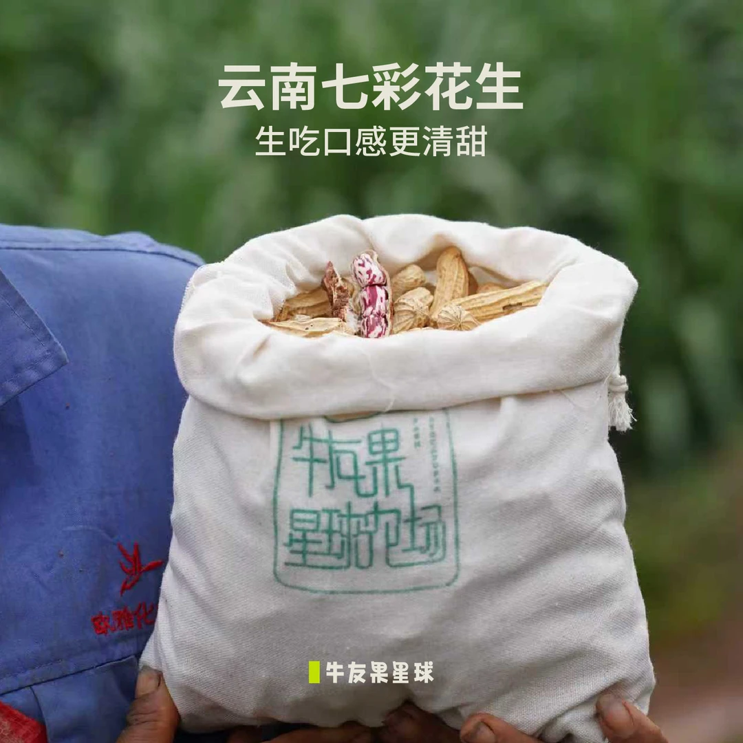云南孟连七彩花生特产新货带壳新鲜晒干无添加原味生吃清甜坚果