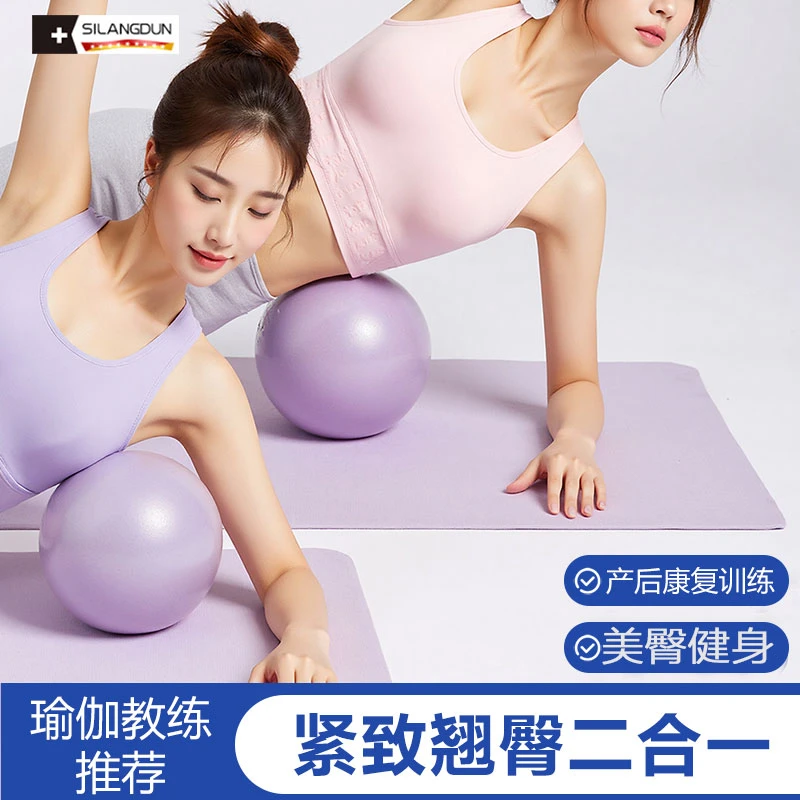 德国盆底肌紧致训练球普拉提球翘臀瑜伽球健身防爆球25cm迷你小球