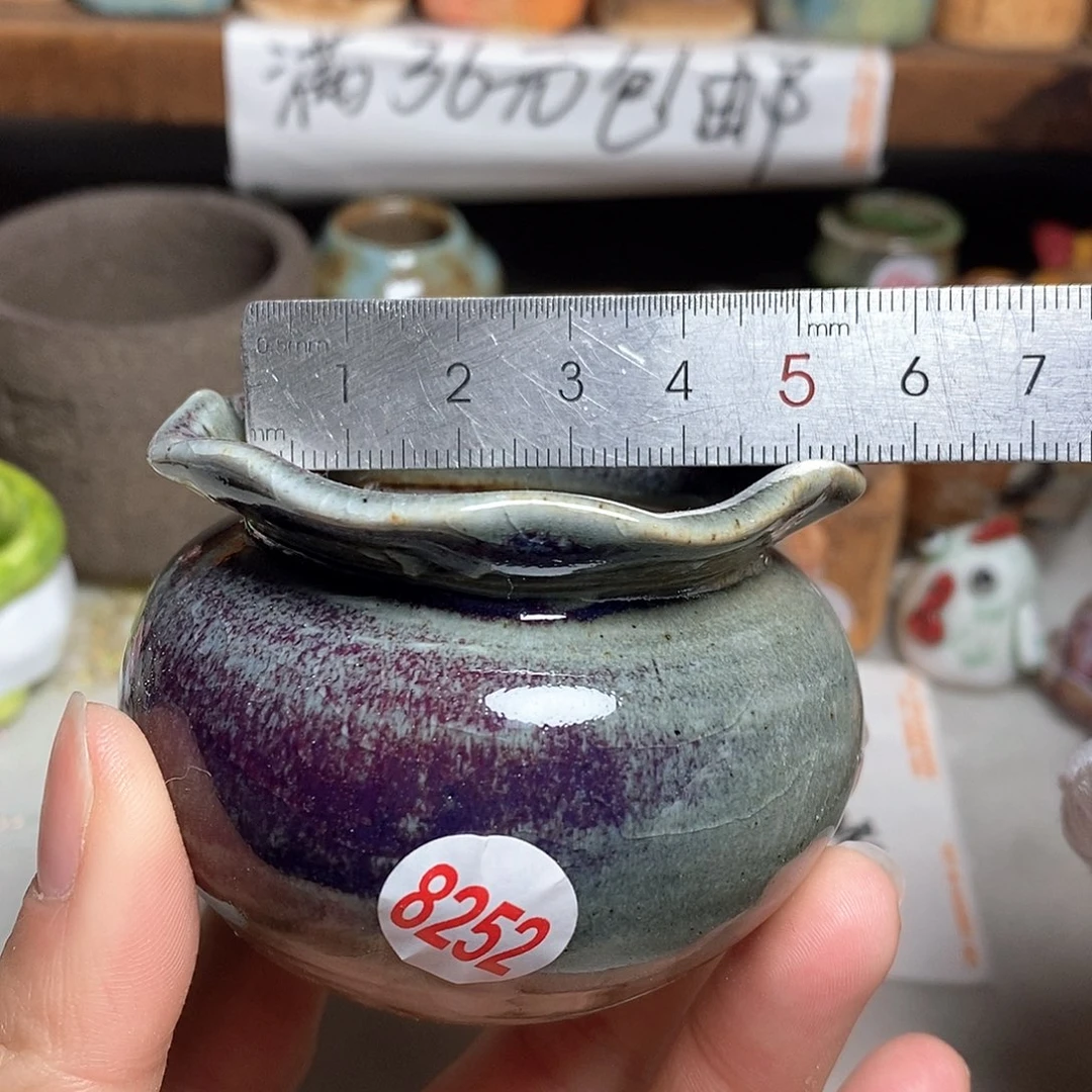 红陶拍5送一个小