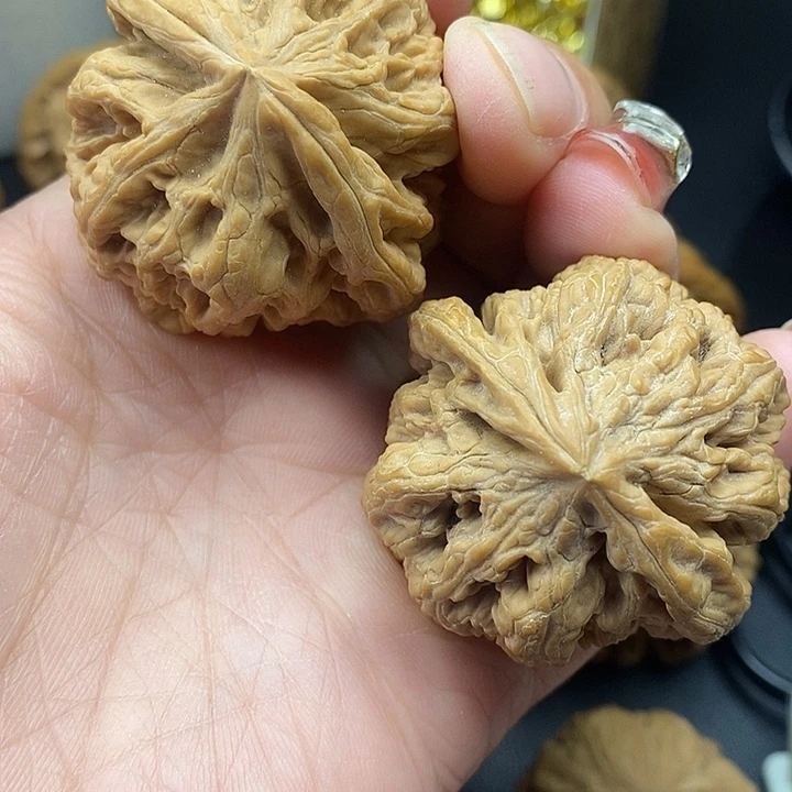大叶紫檀（黑酸枝木类）粗筋44