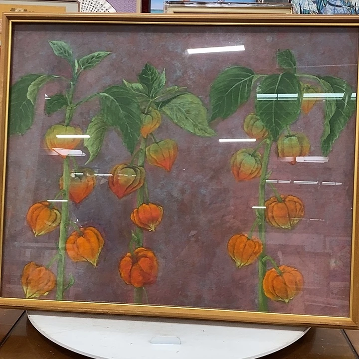N***内精品中古字画专拍