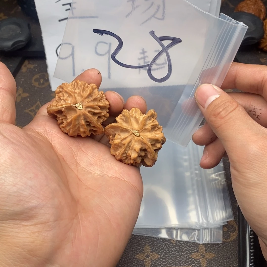 W8366836469794749749