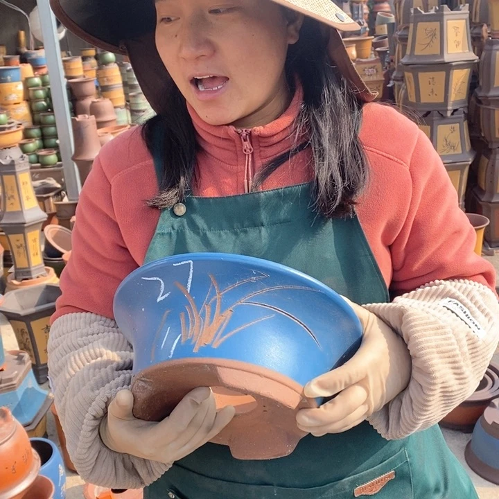 紫砂花盆盆栽花卉苗木种植